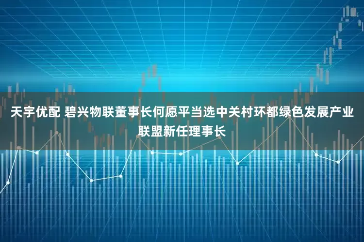 天宇优配 碧兴物联董事长何愿平当选中关村环都绿色发展产业联盟新任理事长